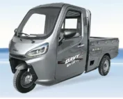 coolecar Chinese Electric Cargo Trike-ev